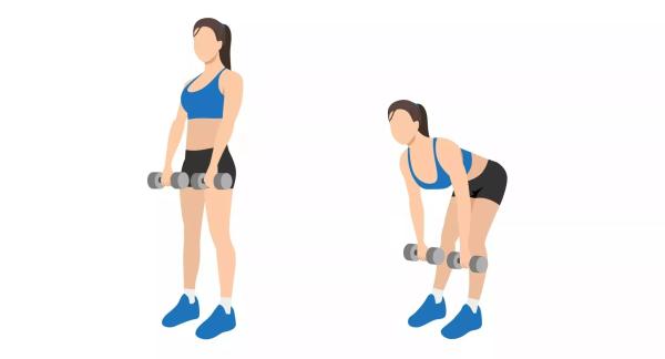 Как нарастить мышцы в домашних условиях: программа тренировок, меню, рецепты